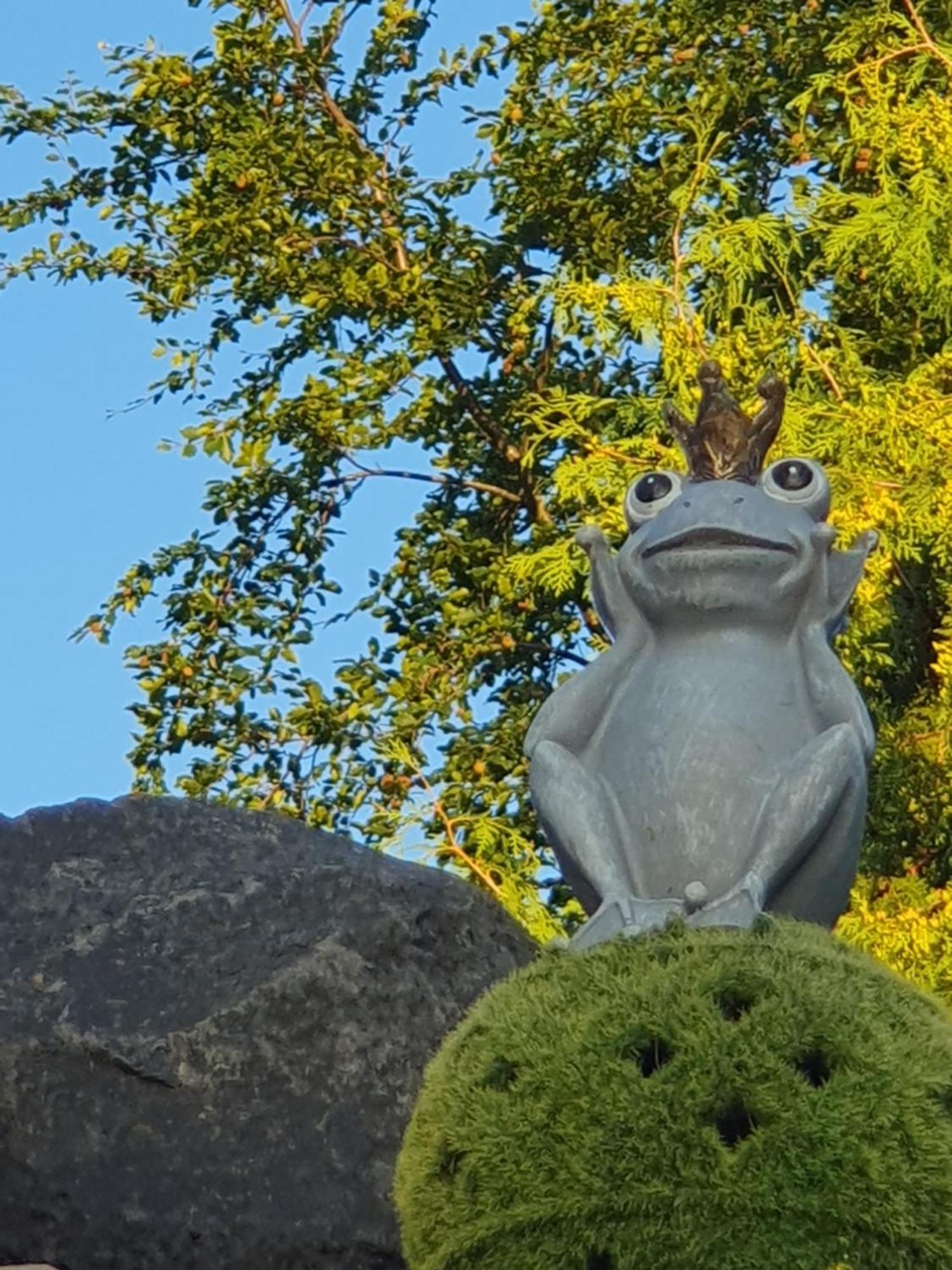 쇼텐 Casa Vogelsberg 아파트 외부 사진